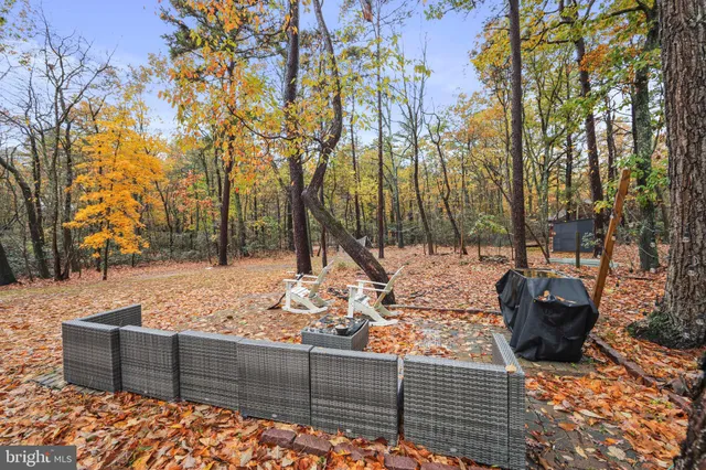 a view of road with trees