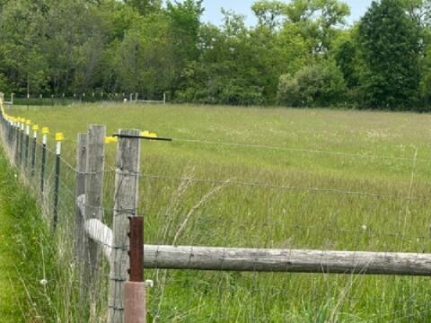 Lt3 Smith Road Lebanon, WI 53047 - Photo 5 of 6 Fence