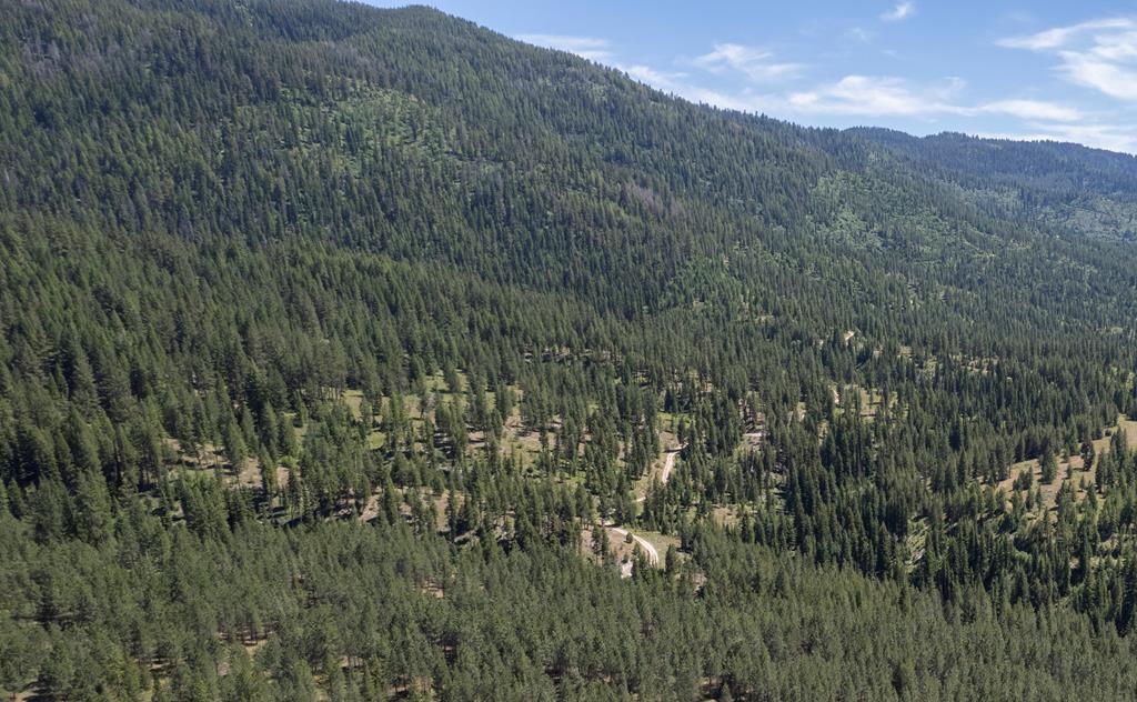 16 Clear Creek Road Cascade, ID 83611 - Photo 1 of 3 Main View