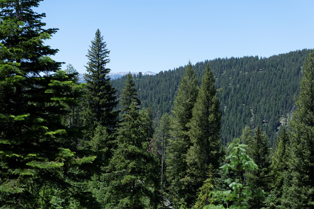 16 Clear Creek Road Cascade, ID 83611 - Photo 2 of 3