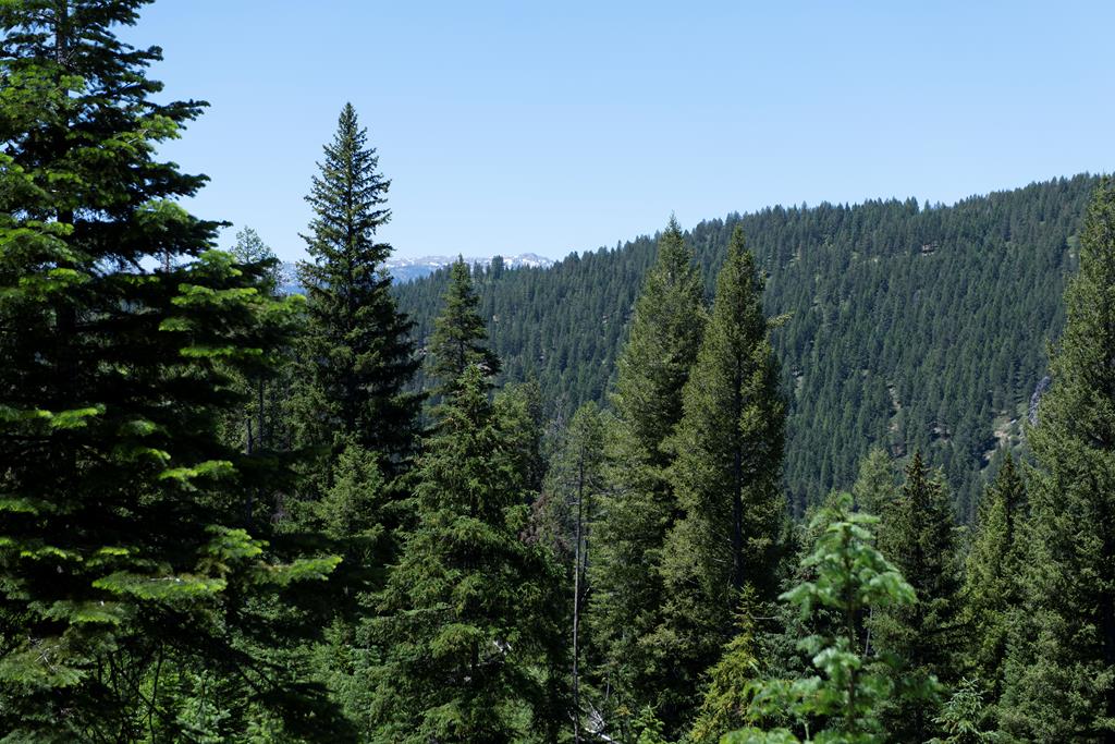 16 Clear Creek Road Cascade, ID 83611 - Photo 3 of 3