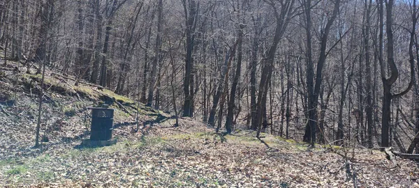 $139,900 | 22000 Horse Valley Road, Doylesburg, PA 17219