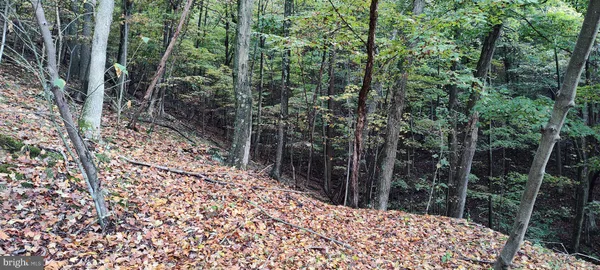 $139,900 | 22000 Horse Valley Road, Doylesburg, PA 17219