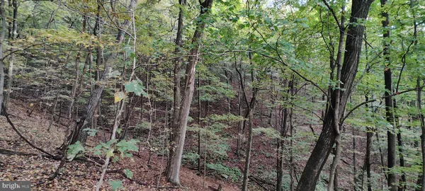$139,900 | 22000 Horse Valley Road, Doylesburg, PA 17219