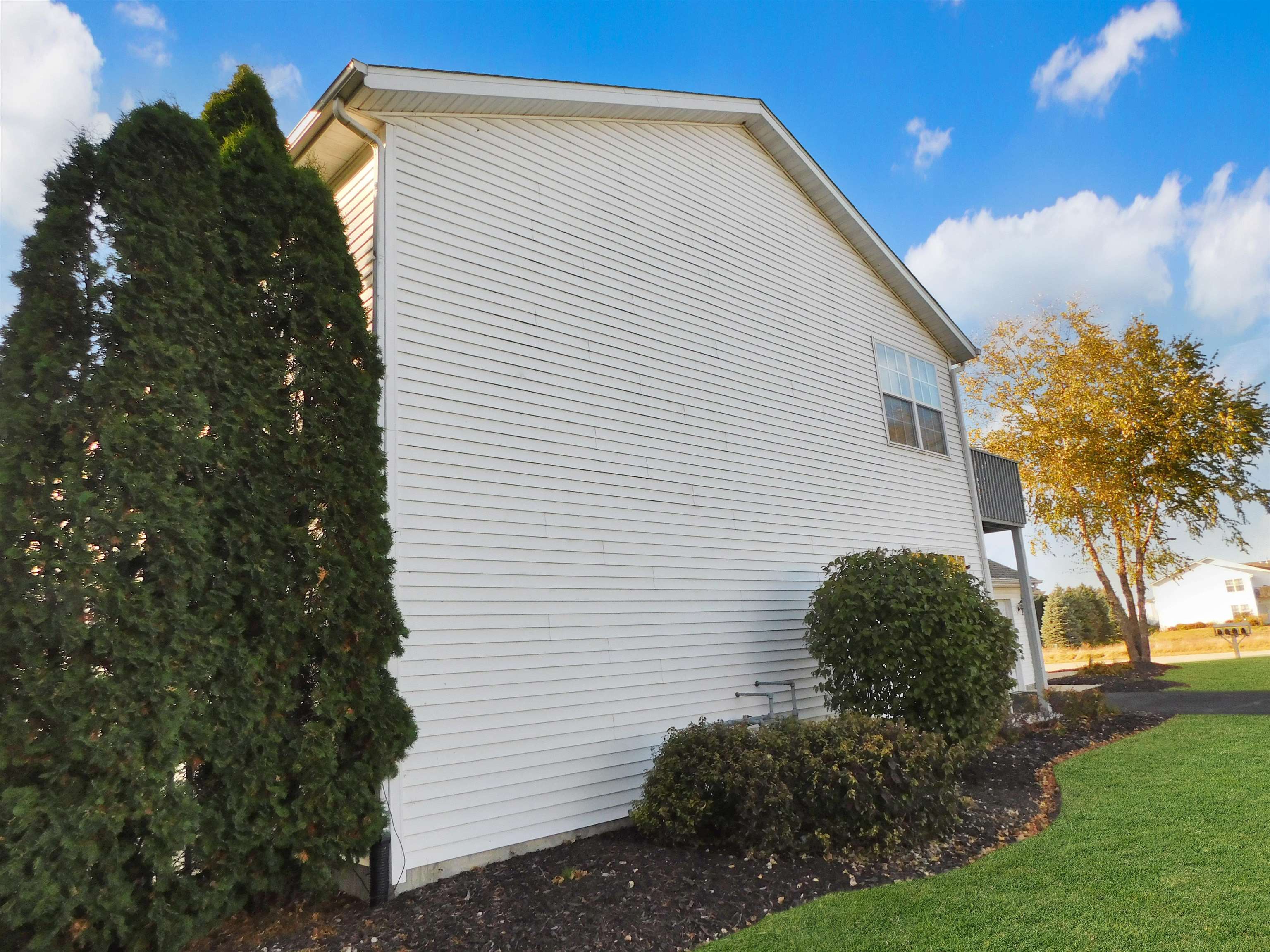 558 Mosaic Lane, Unit 1 Roscoe, IL 61073 - Photo 24 of 28 a view of backyard with plants and trees