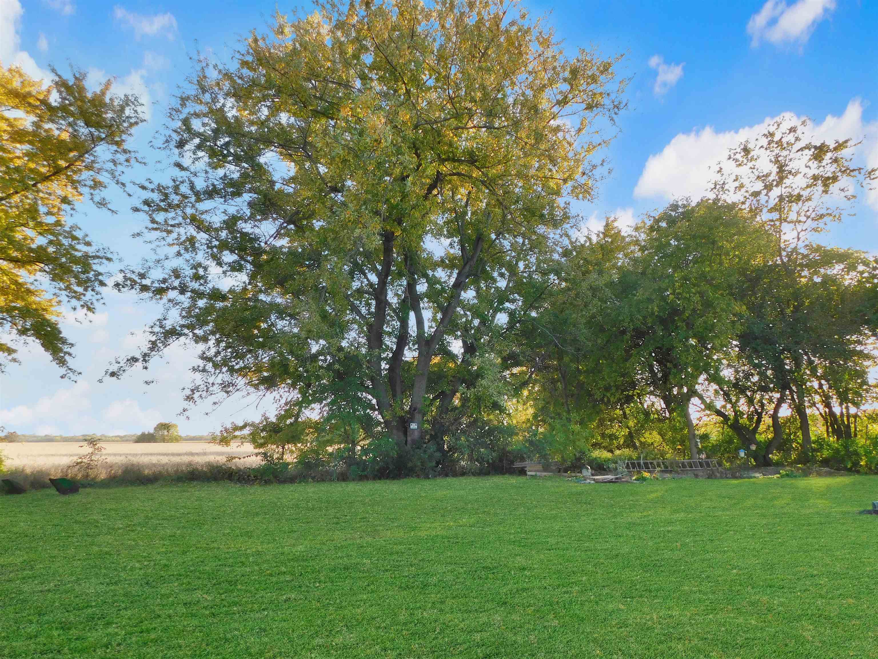 558 Mosaic Lane, Unit 1 Roscoe, IL 61073 - Photo 28 of 28 a view of yard with green space