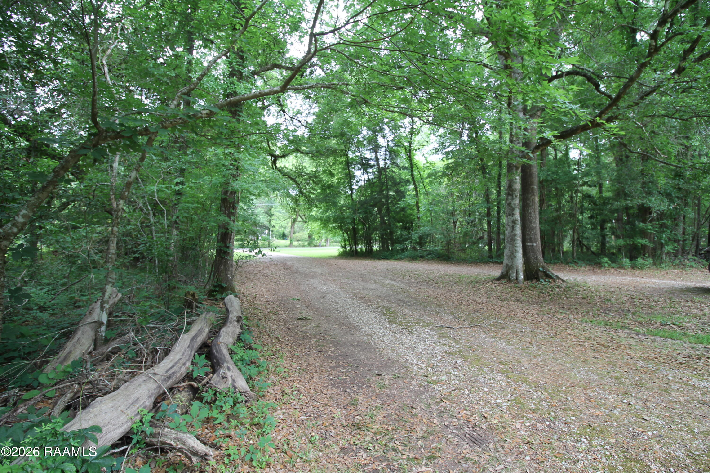 320 Frozard Road Arnaudville, LA 70512 - Photo 3 of 33 wooded driveway