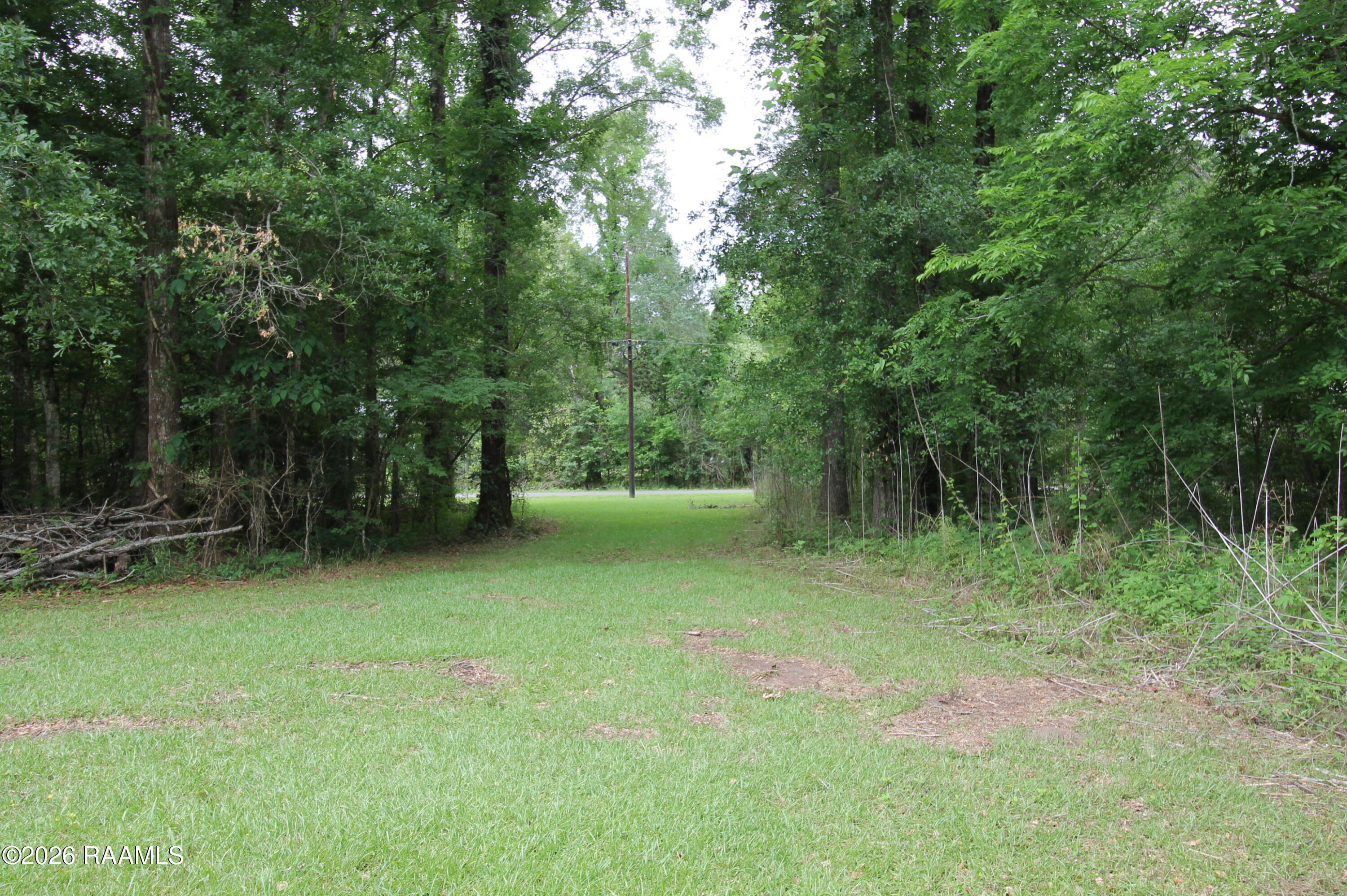 320 Frozard Road Arnaudville, LA 70512 - Photo 32 of 33 trees to the road