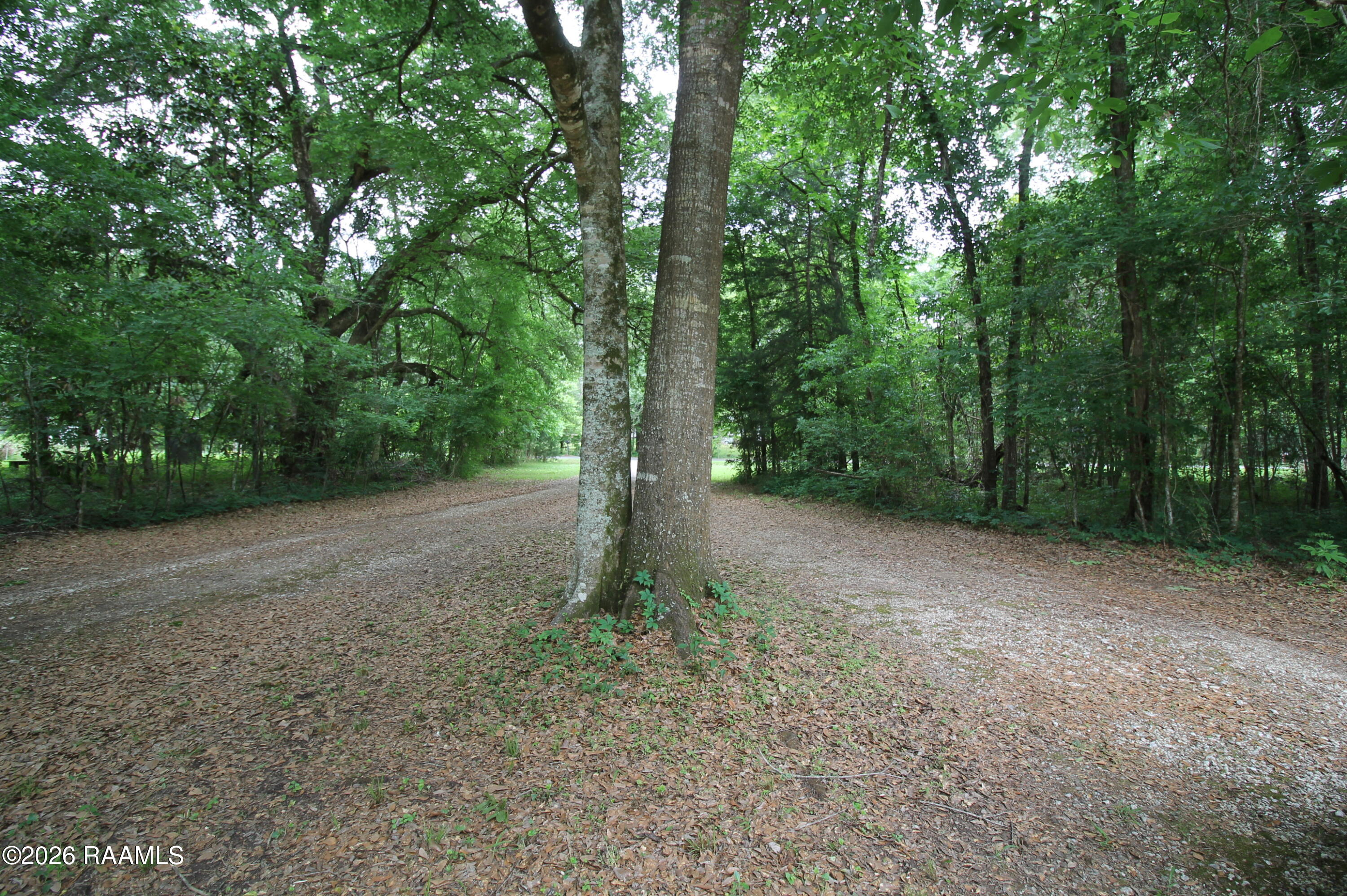 320 Frozard Road Arnaudville, LA 70512 - Photo 4 of 33 trees on perimeter