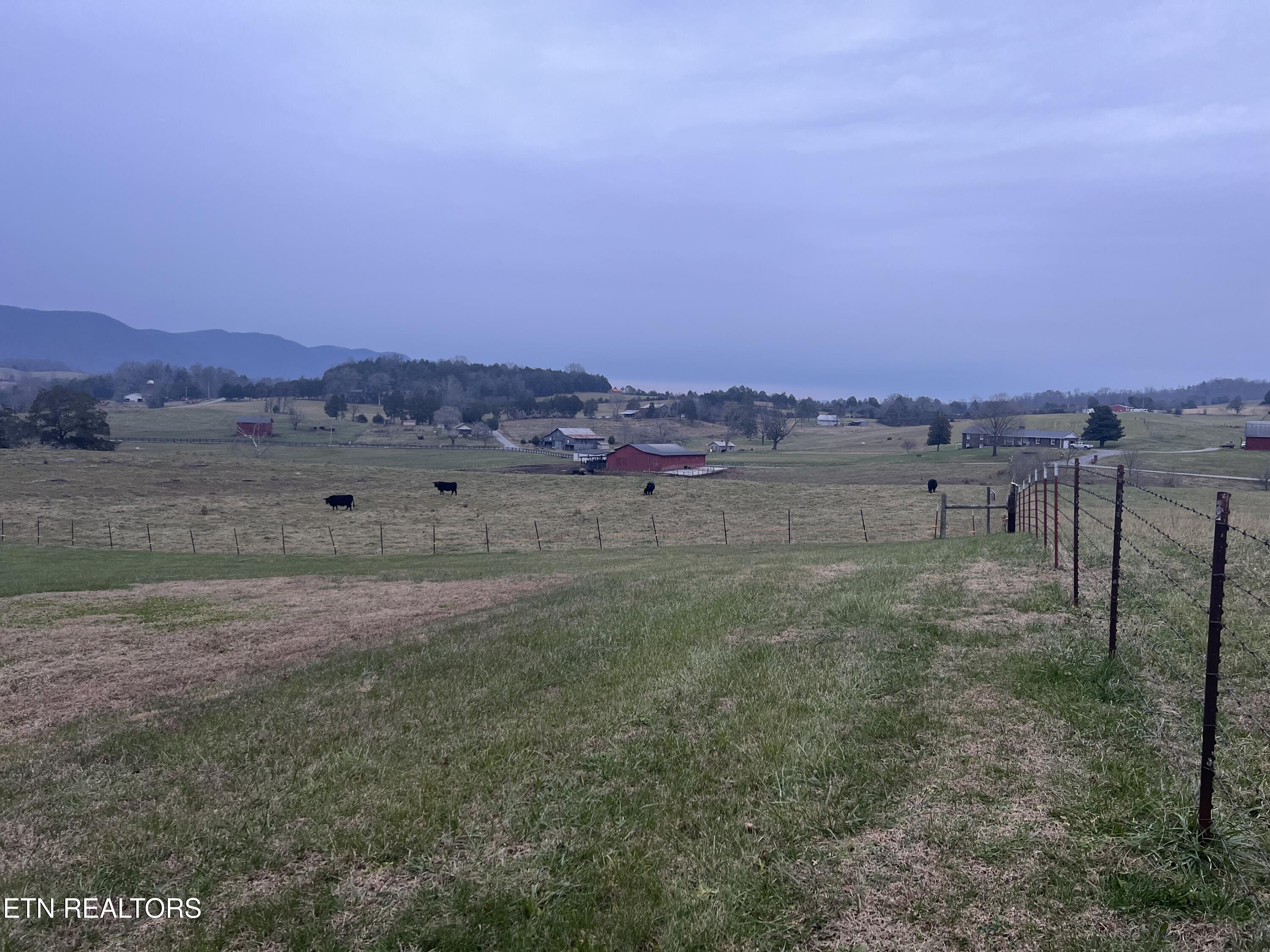 1623 Straight Branch Road Speedwell, TN 37870 - Photo 9 of 15 B8EAFF89-5C98-435C-A6EA-F34C644B4FEB