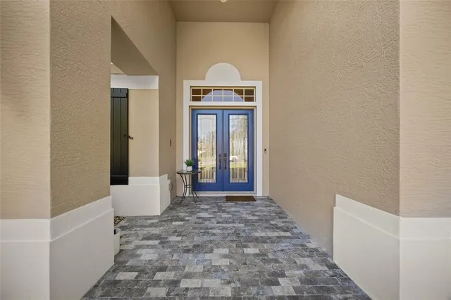 a view of a park with large trees