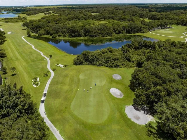 a view of a big yard with potted plants