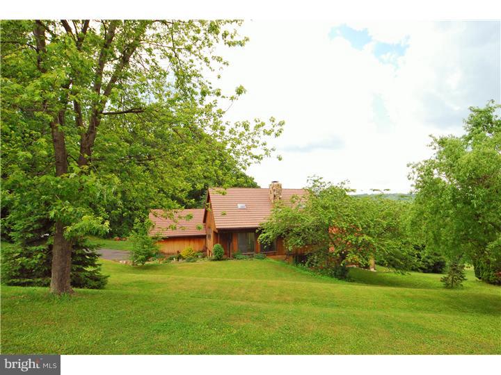 742 Mountain Road Boyertown, PA 19512 - Photo 3 of 23 Side Yard