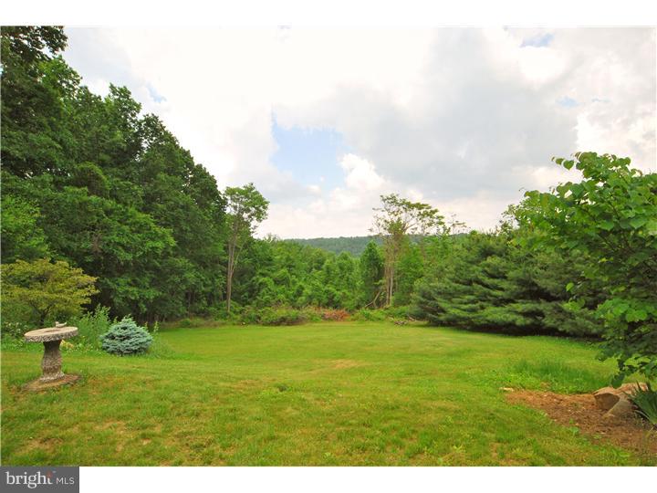 742 Mountain Road Boyertown, PA 19512 - Photo 22 of 23 Exterior Back