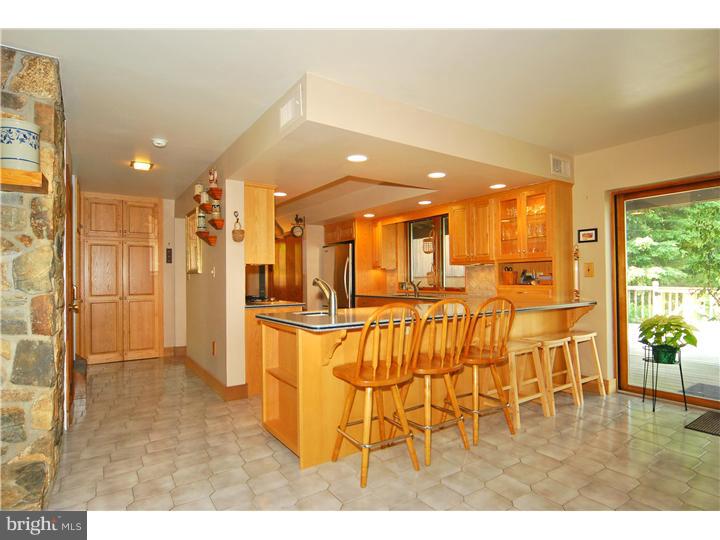 742 Mountain Road Boyertown, PA 19512 - Photo 8 of 23 Kitchen