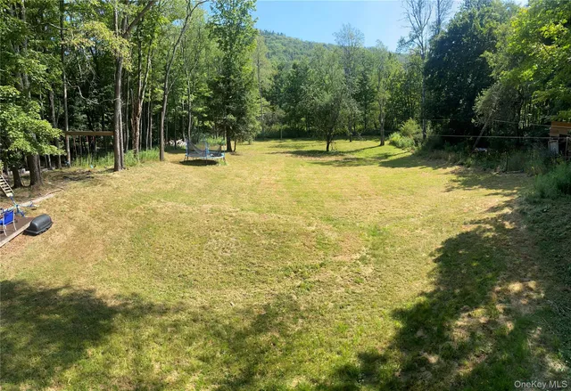 a view of outdoor space and yard