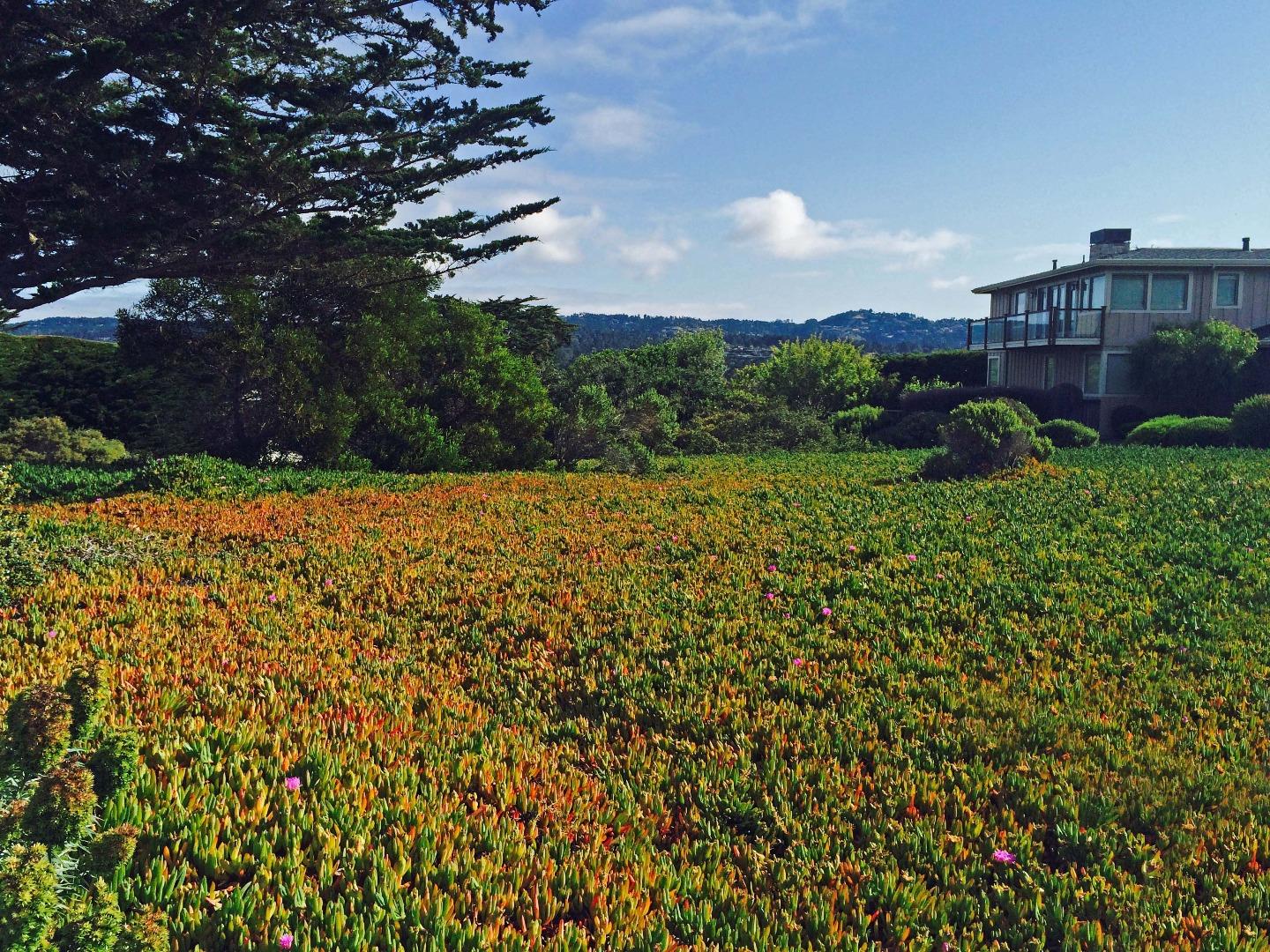 0 Pradera Road Carmel, CA 93923 - Photo 2 of 4