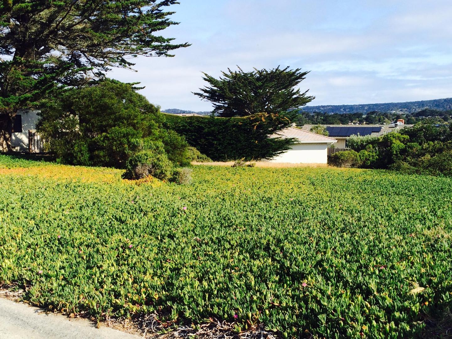 0 Pradera Road Carmel, CA 93923 - Photo 3 of 4