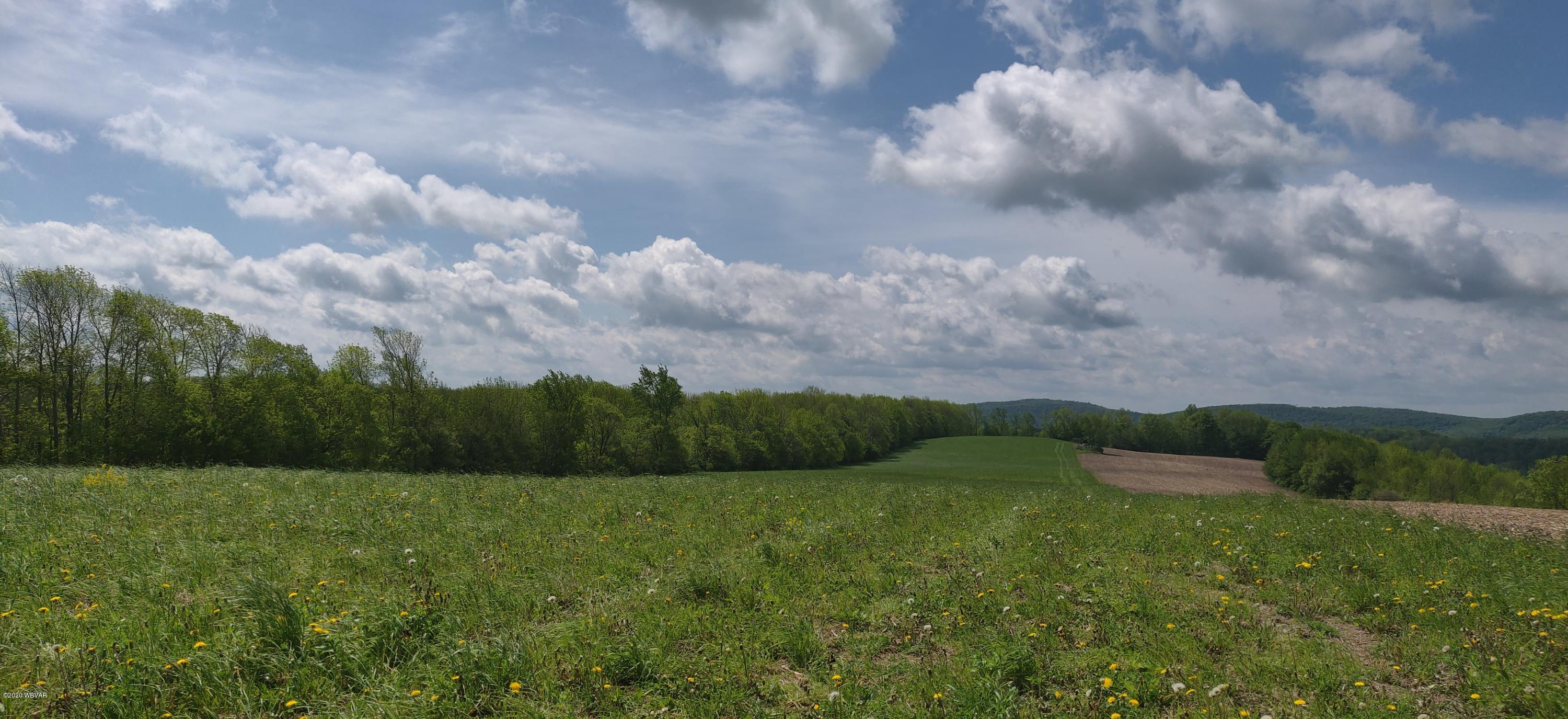 Rietter Hill Road Westfield, PA 16950 - Photo 9 of 24 Gallery Image 9