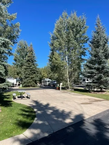 a view of swimming pool with a yard