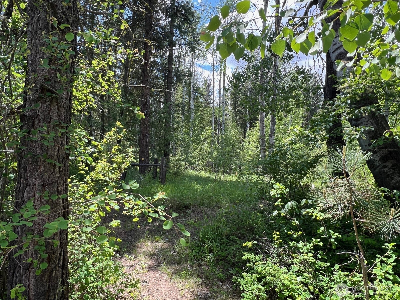 18 Deer Run Loop Road Winthrop, WA 98862 - Photo 12 of 40 Gallery Image 12