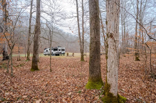a backyard of a house with lots of green space