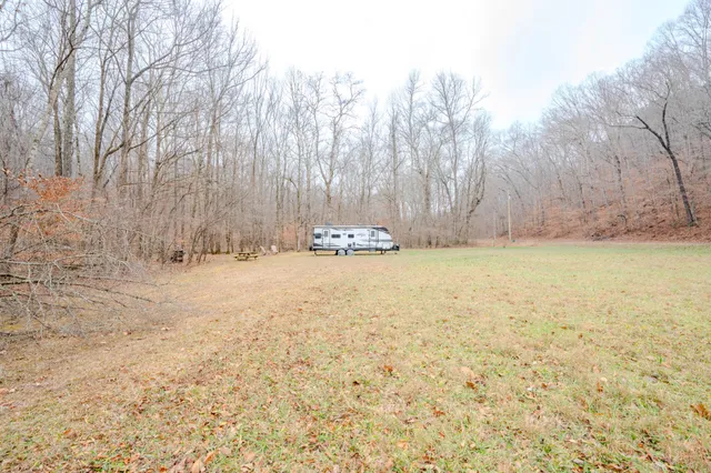 a view of yard with trees