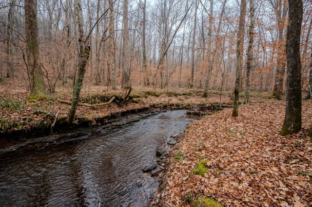 a view of a backyard of the house