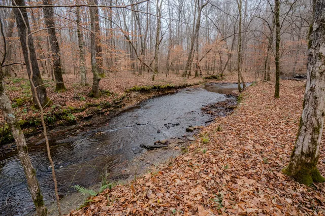a view of a backyard of the house