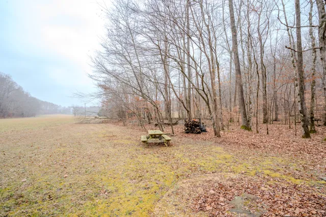 a backyard of a house with large trees
