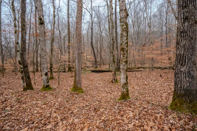 a view of wooden fence