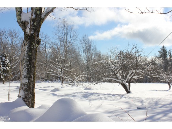 463 Arrau Road Andover, VT 05143 - Photo 36 of 36