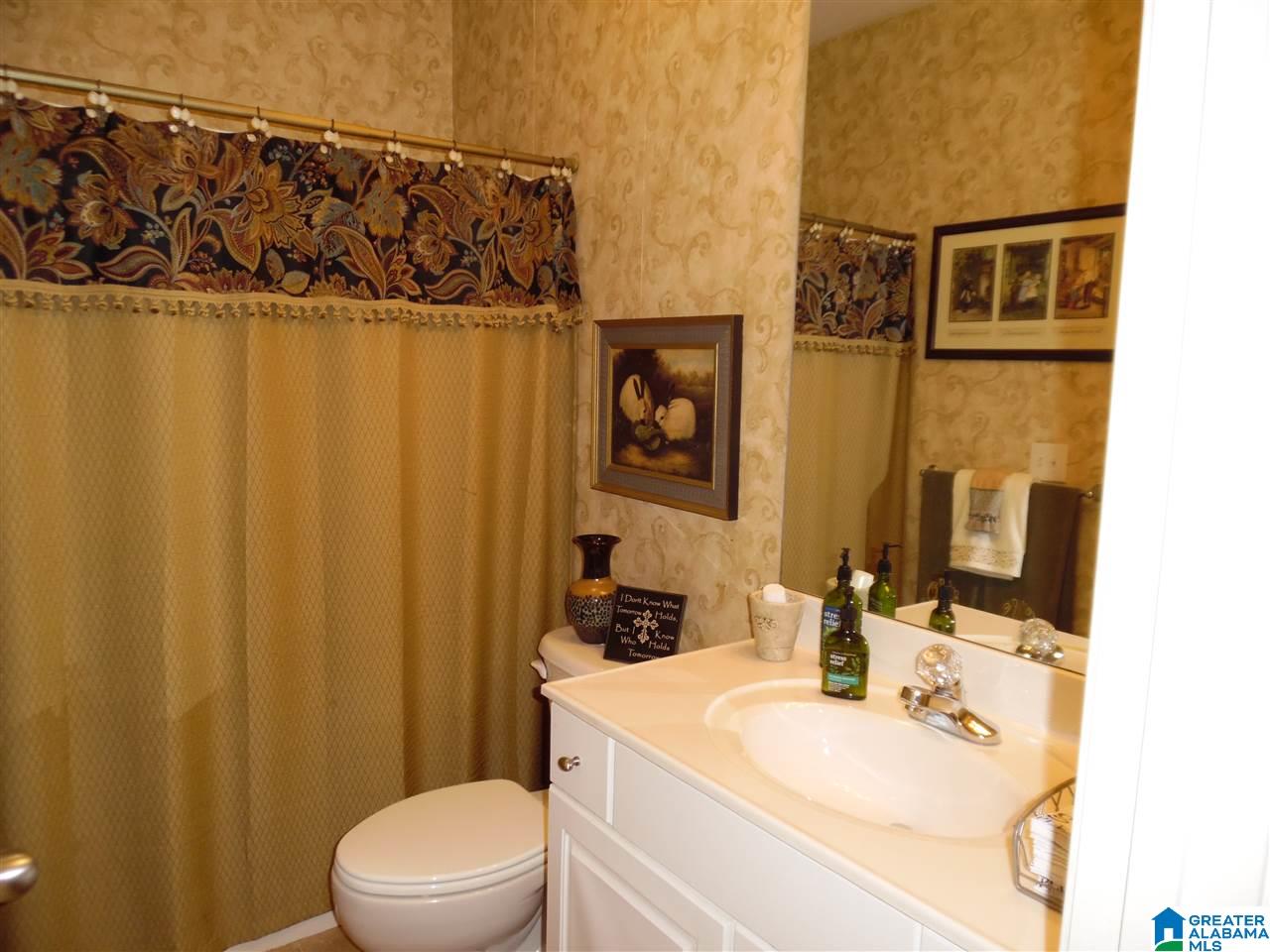 390 Chesser Plantation Lane Chelsea, AL 35043 - Photo 13 of 19