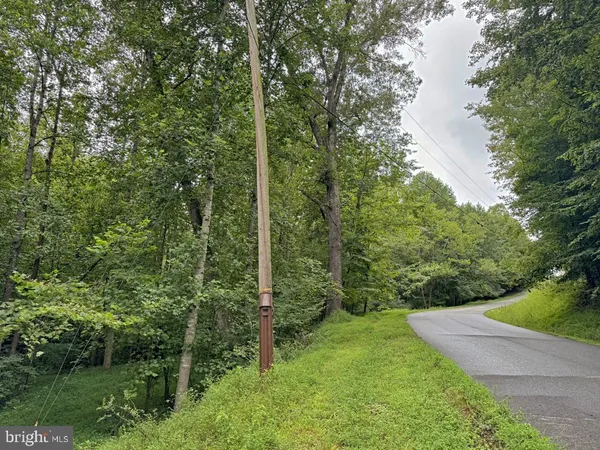 a view of a forest with trees