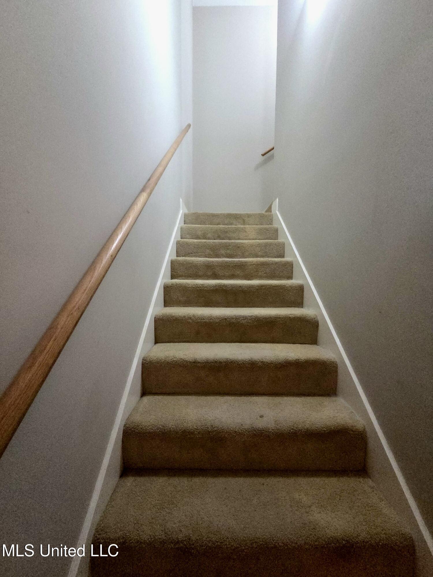 305 Flagstone Drive Brandon, MS 39042 - Photo 17 of 29 Stairs to bonus