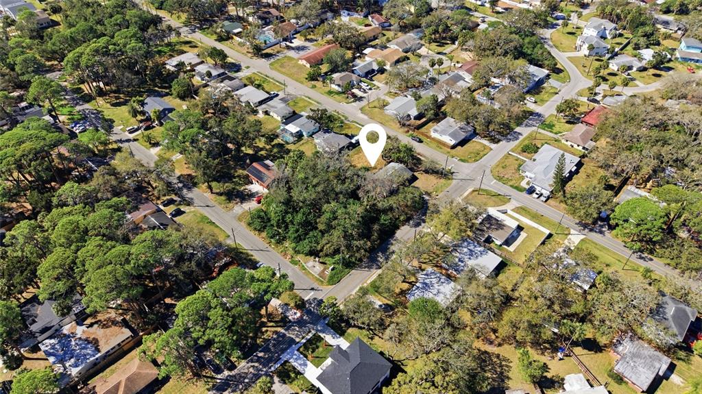 7214 Oelsner Street New Port Richey, FL 34652 - Photo 4 of 11 Gallery Image 4