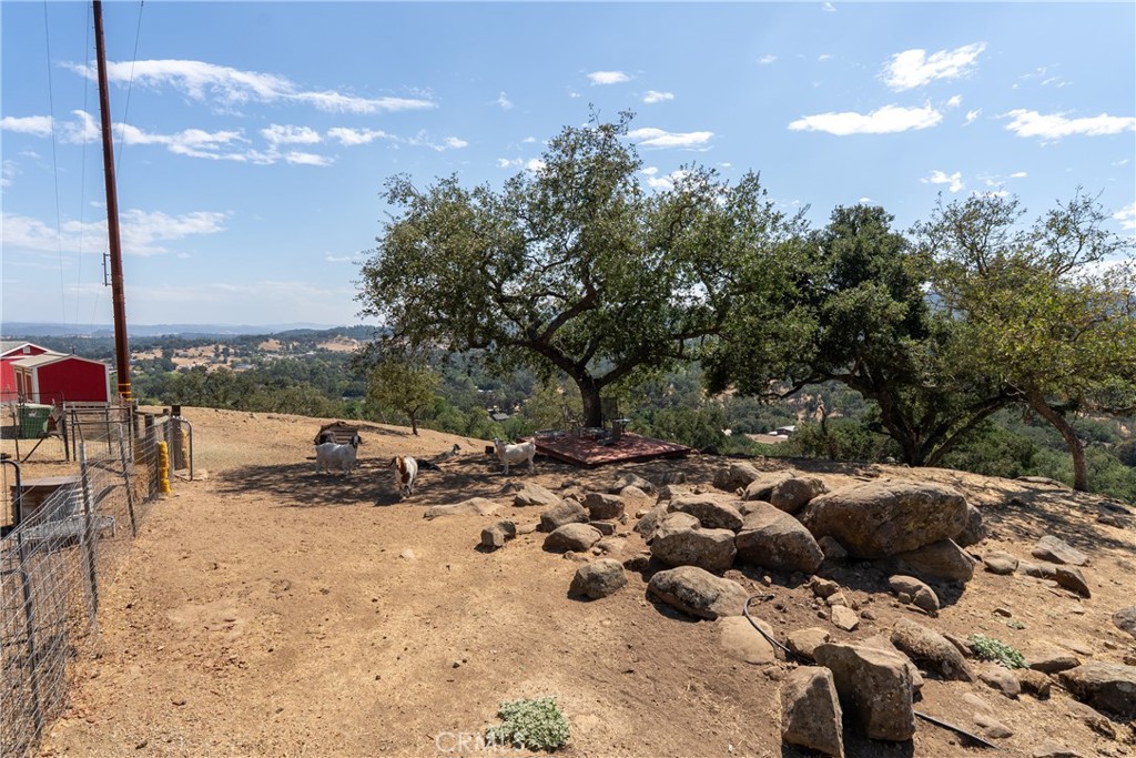 7215 San Gabriel Road Atascadero, CA 93422 - Photo 63 of 74 a view of a yard with wooden fence