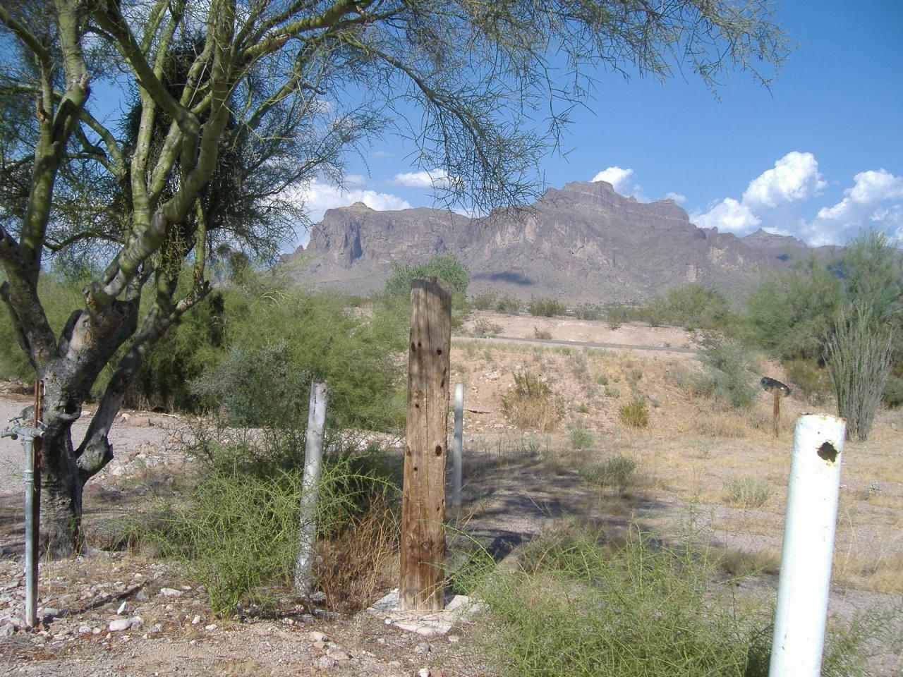 944 North Goldfield Road Apache Junction, AZ 85119 - Photo 3 of 10 View near corrals