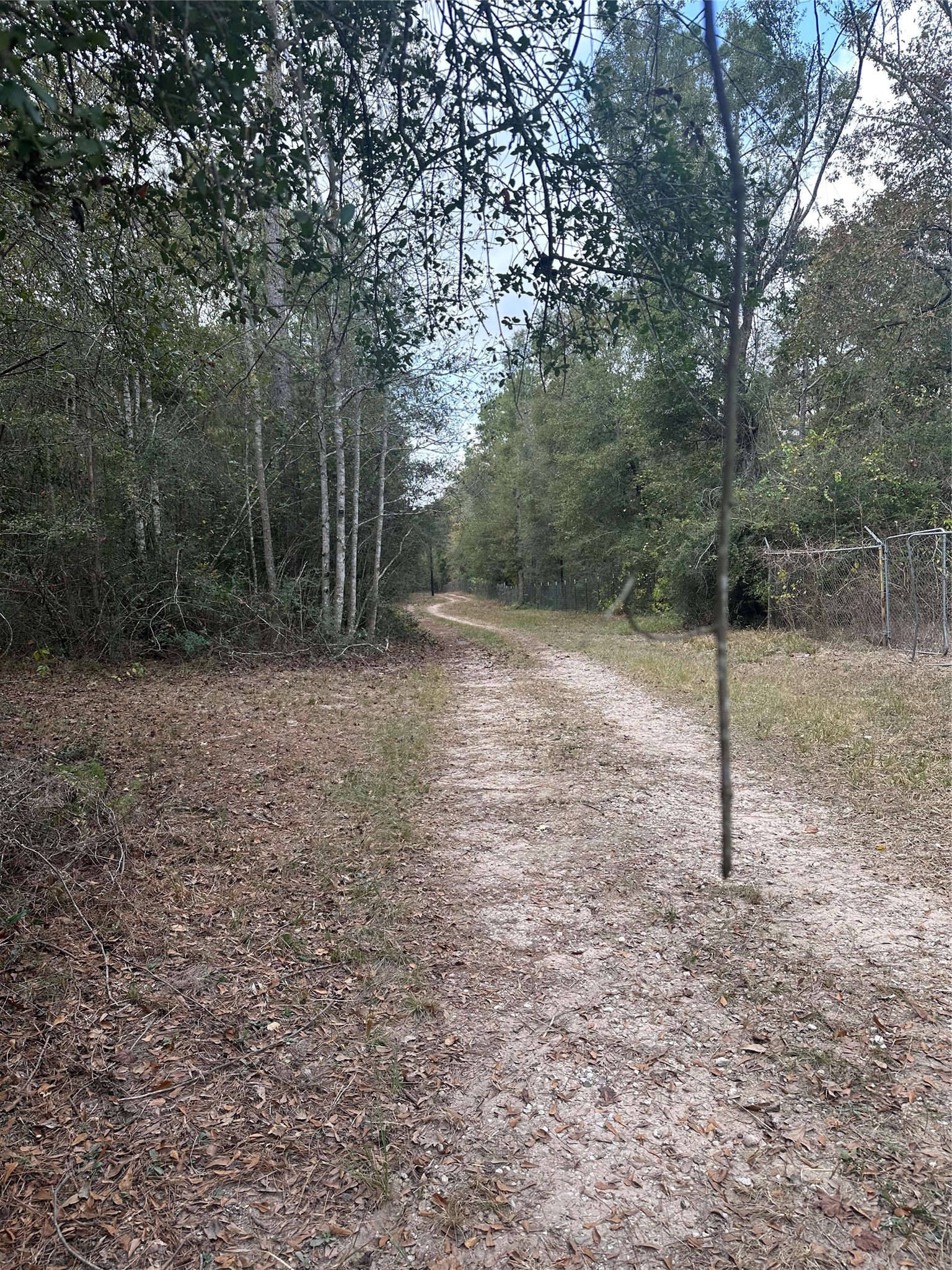 Tbd Firetower Road Conroe, TX 77306 - Photo 7 of 10