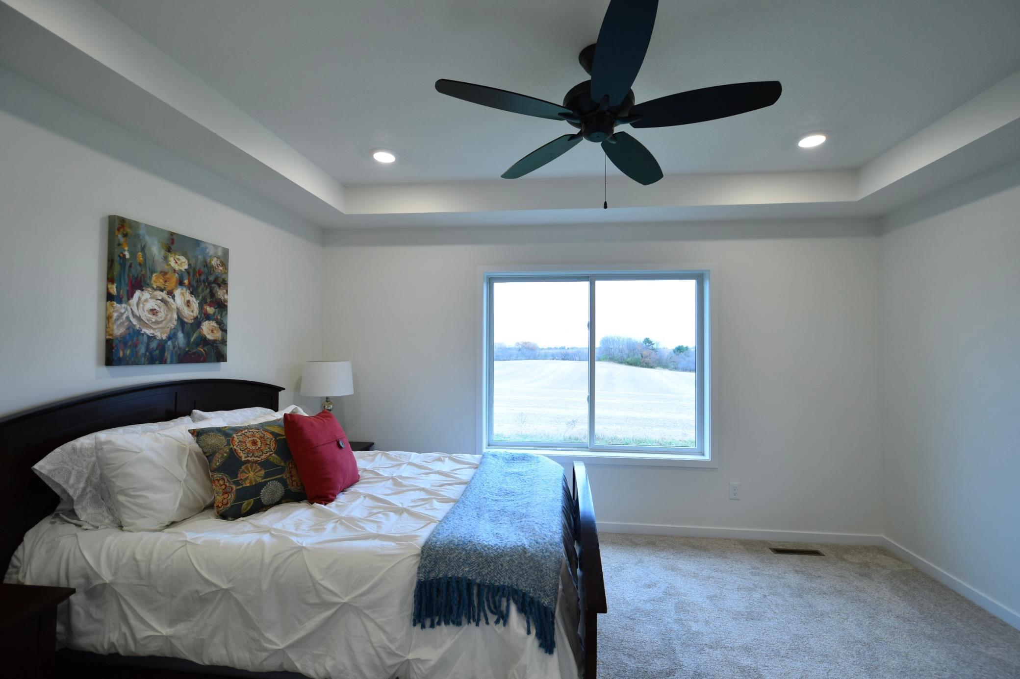 903 7th Avenue Wanamingo, MN 55983 - Photo 18 of 45