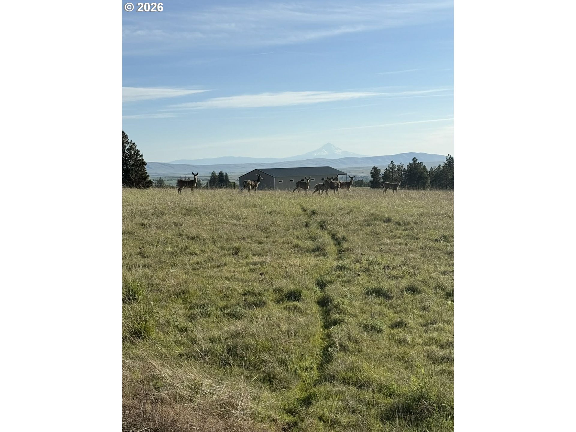 5 Adams Loop Road Goldendale, WA 98620 - Photo 6 of 31
