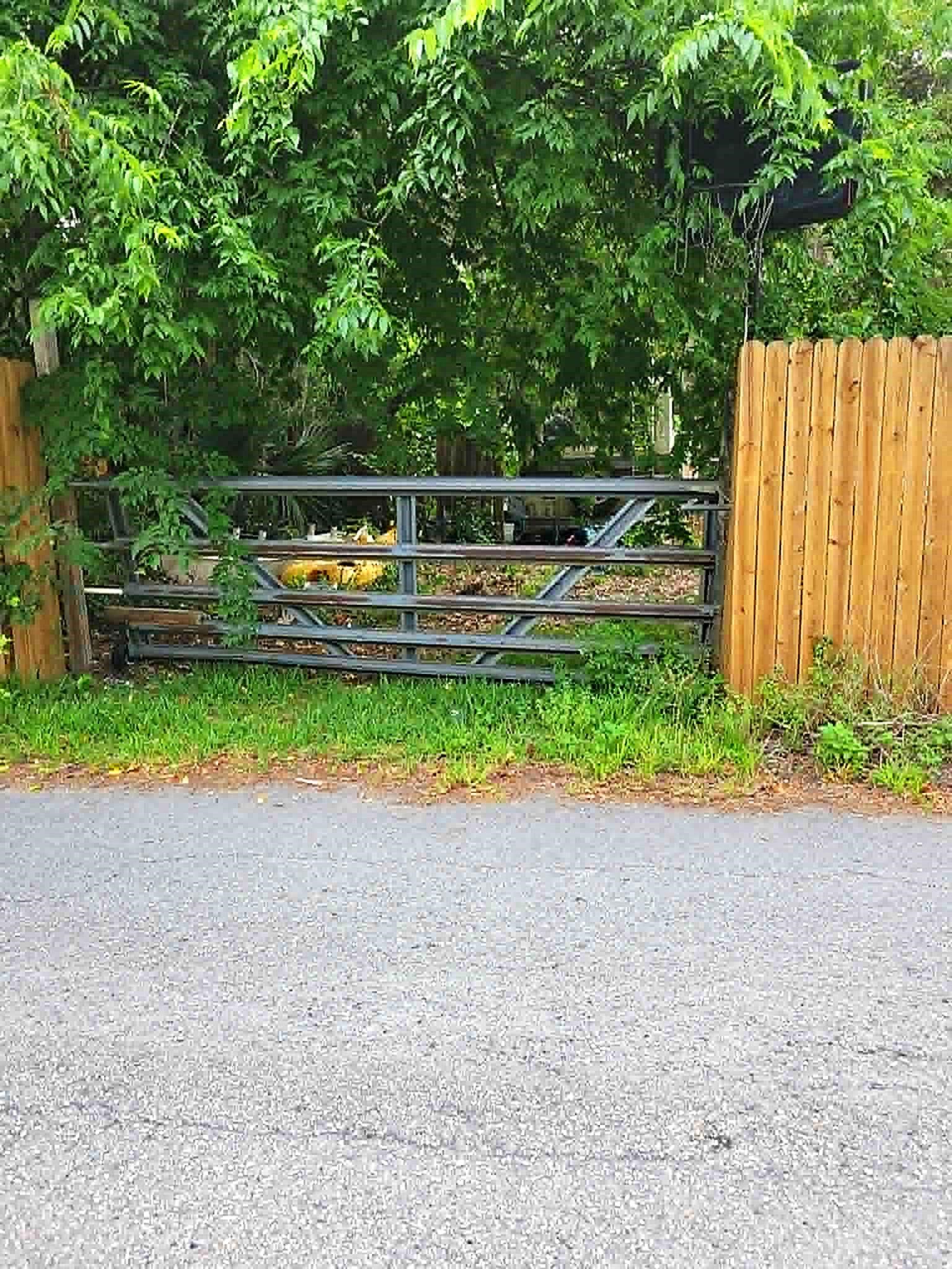 0 South Rodriquez Street St. Augustine, FL 32084 - Photo 4 of 7