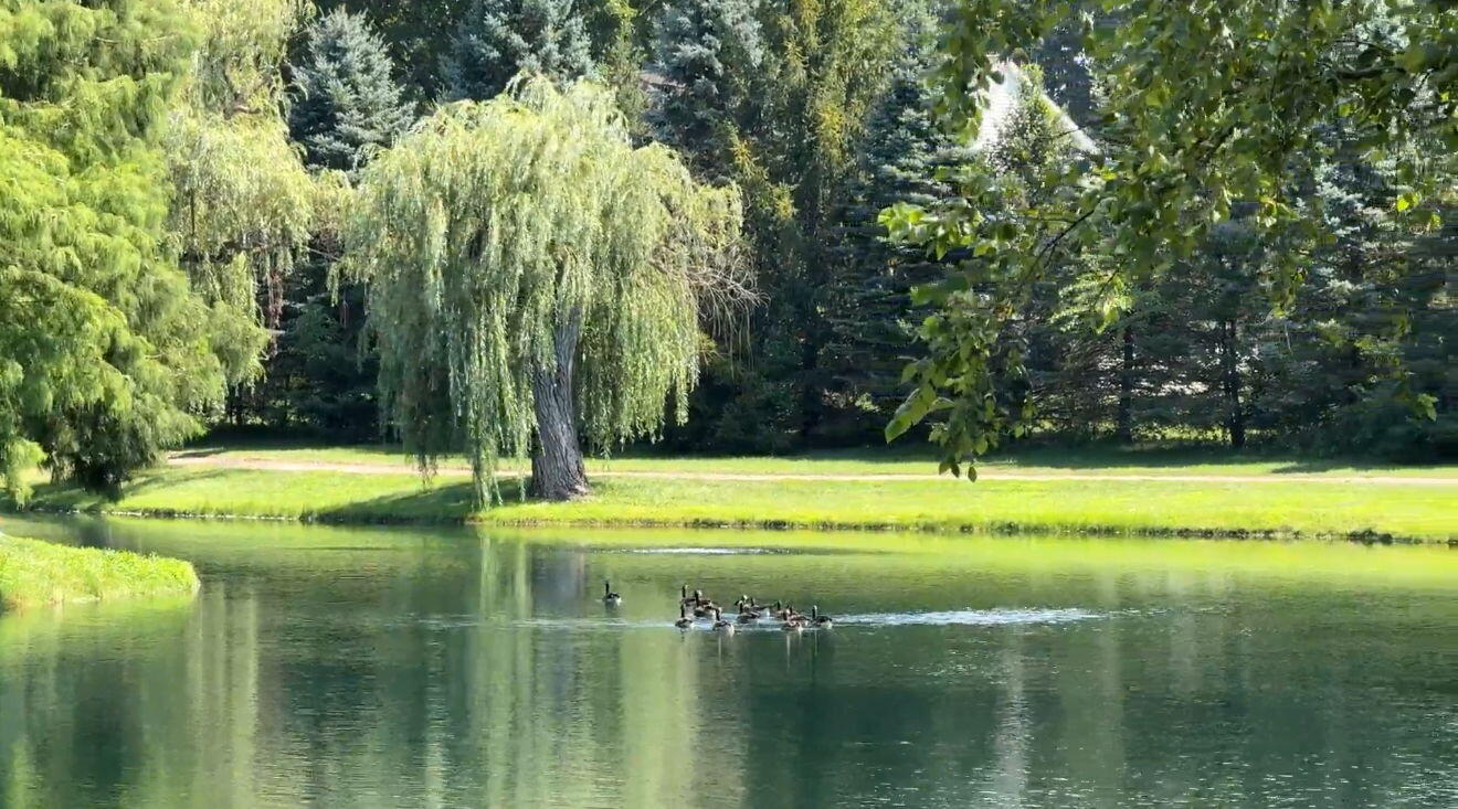 2034 Texas Street Chesterton, IN 46304 - Photo 9 of 22 a view of a swimming pool with a yard