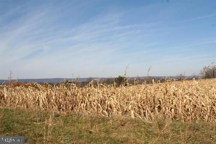 - Colonel Fetters Road Clearville, PA 15535 - Photo 7 of 25