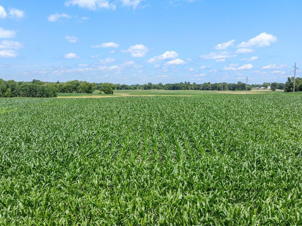 Tbd 66th Street New Germany, MN 55367 - Photo 3 of 13