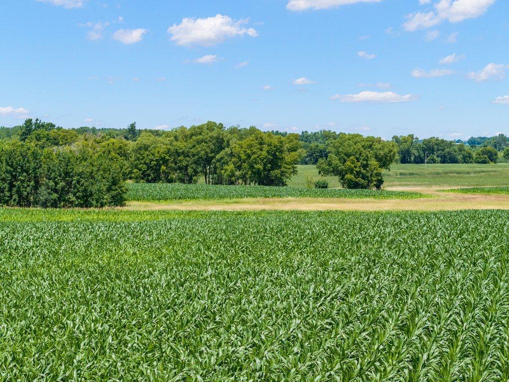 Tbd 66th Street New Germany, MN 55367 - Photo 9 of 13