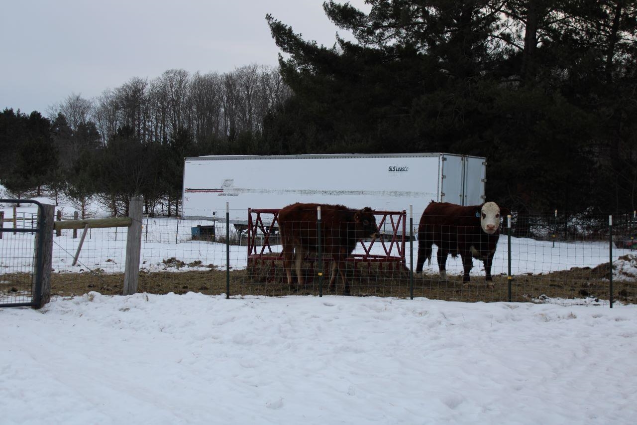 4559 McCoy Road Gaylord, MI 49735 - Photo 98 of 99 1896873-97.JPG