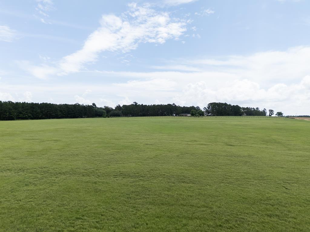 5951 Tallokas Road Pavo, GA 31778 - Photo 69 of 79 Gallery Image 69