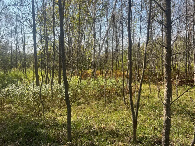 $119,900 | 0 County Highway, Hinckley, MN 55037