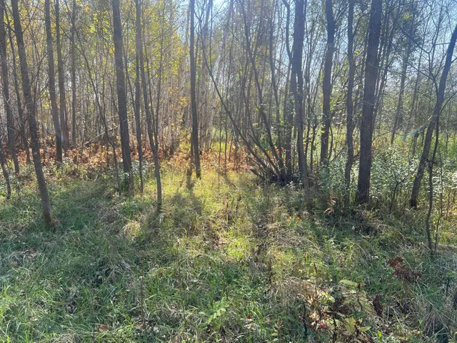 $119,900 | 0 County Highway, Hinckley, MN 55037